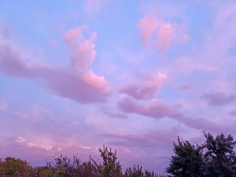 Σκούρα πράσινη ήρεμη σύνθεση με κείμενο